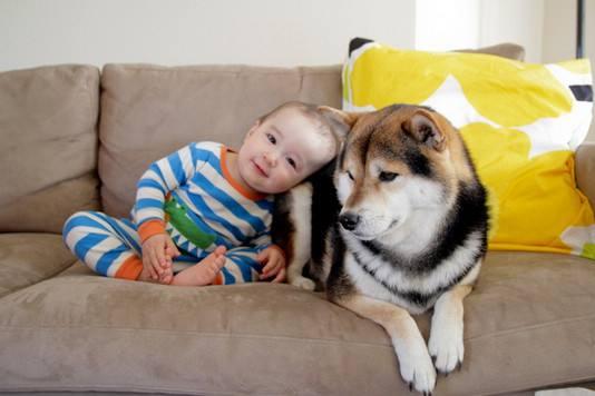 宝宝能打狂犬疫苗吗 注意事项要牢记