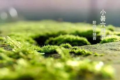 关于小暑的古诗 7月初话小暑