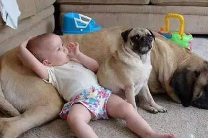 1岁多宝宝总是揉眼睛，妈妈细看吓出一身冷汗！