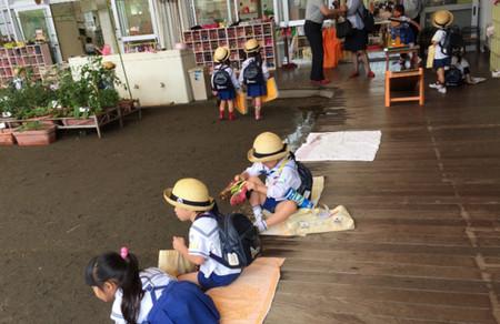 为什么日本的幼儿园教育名列世界前茅：14个细节要学习！