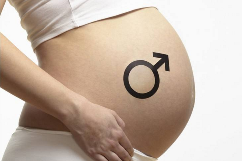 三維彩超怎么看男女？教你三維彩超看性別