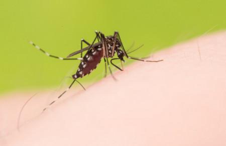 孕妈和宝宝，在夏季最好的驱蚊方法竟是？