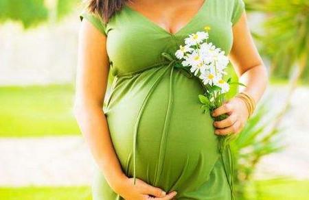 孕妈你卧室都养什么花呢? 这7种最适合养孕妈养的花。