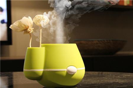 加湿器里面的水垢怎么去除 方便安全回家试试吧