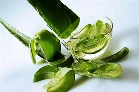 哪款芦荟胶最好用 看着买，给你最适合的