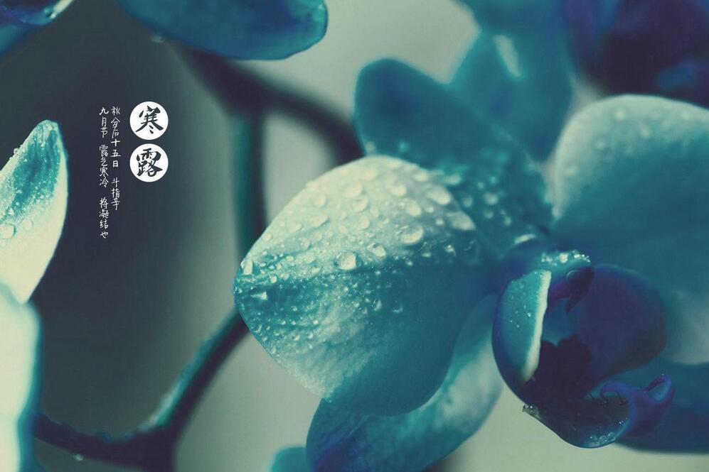 2017年寒露节气出生的鸡宝宝好不好 寒露节气出生的孩子好吗