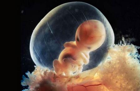 小心4大信号，或是胎儿在求救！