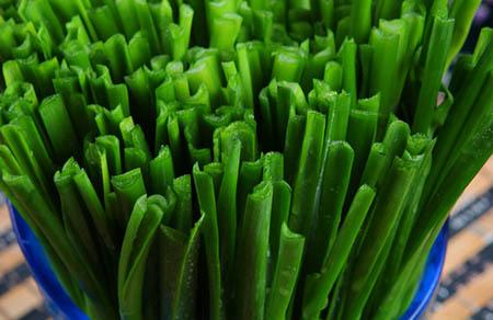 豆浆加香蕉减肥法  超给力减肥秘方大公开