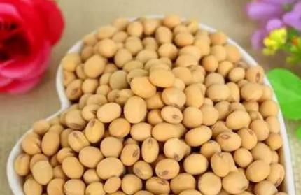 子宫内膜薄，单靠食补能调理吗？