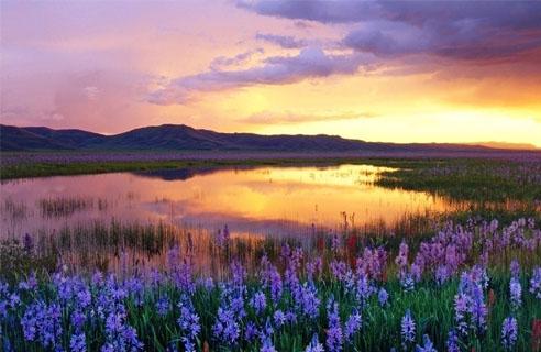 孕妈妈喝奶好处多多 哪种奶制品最适合！