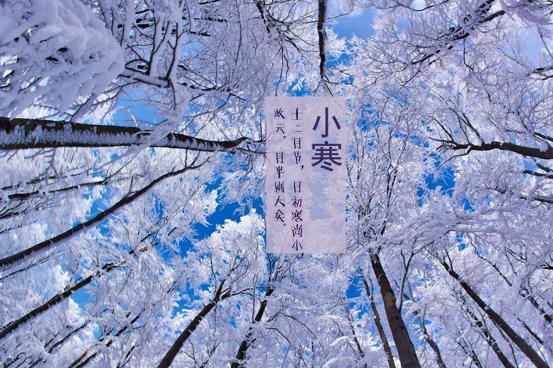 2018年小寒节气出生的鸡宝宝好不好 看了就知道