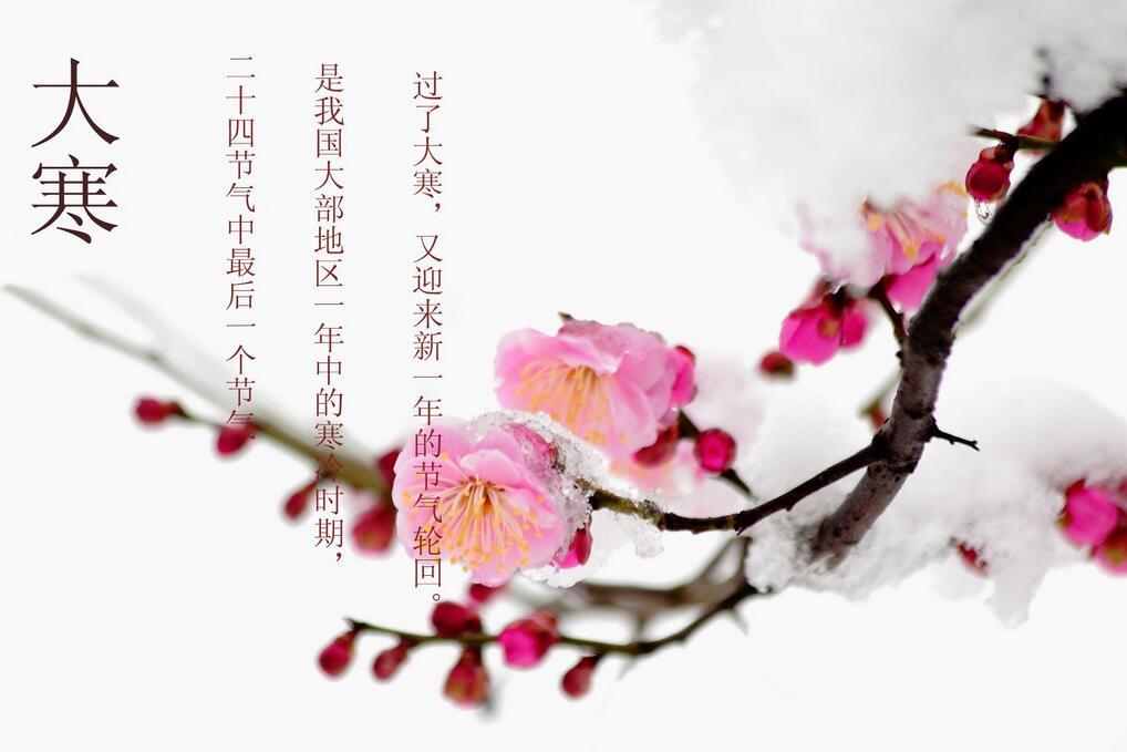 2018年大寒节气出生的鸡宝宝好不好 宝妈速看