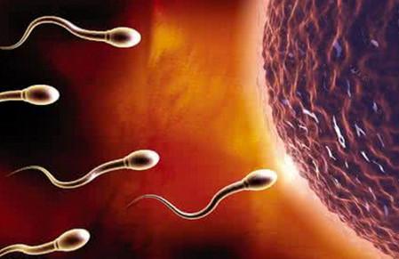 弱精、少精、无精……精子出现异常还能好孕吗？