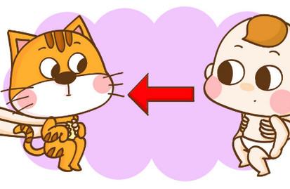 它们很可爱，但也很危险！有孩子的家庭要注意了…