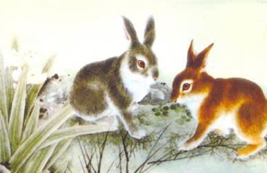 属兔性格特点及脾气 你真的了解属兔的人吗？