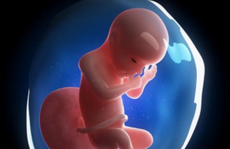 “维生素过量”导致胎儿畸形？ 吓到我了！