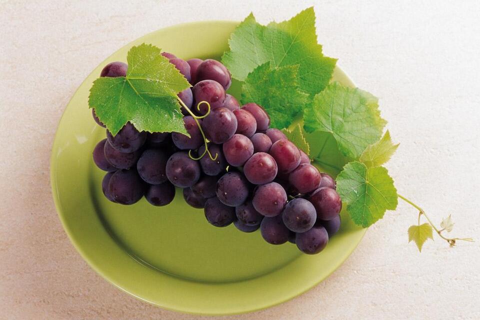 十个月的宝宝可以吃葡萄吗 宝宝吃葡萄的注意事项