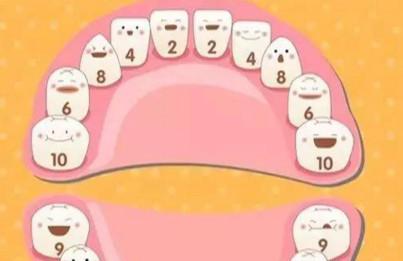 宝宝几个月长牙算正常？迟迟不长牙是缺钙？