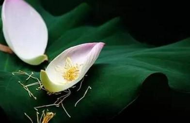 备孕多长时间不怀孕就需要做个全面检查了呢？