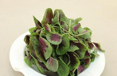 孕妇能吃苋菜吗？吃苋菜有哪些好处？