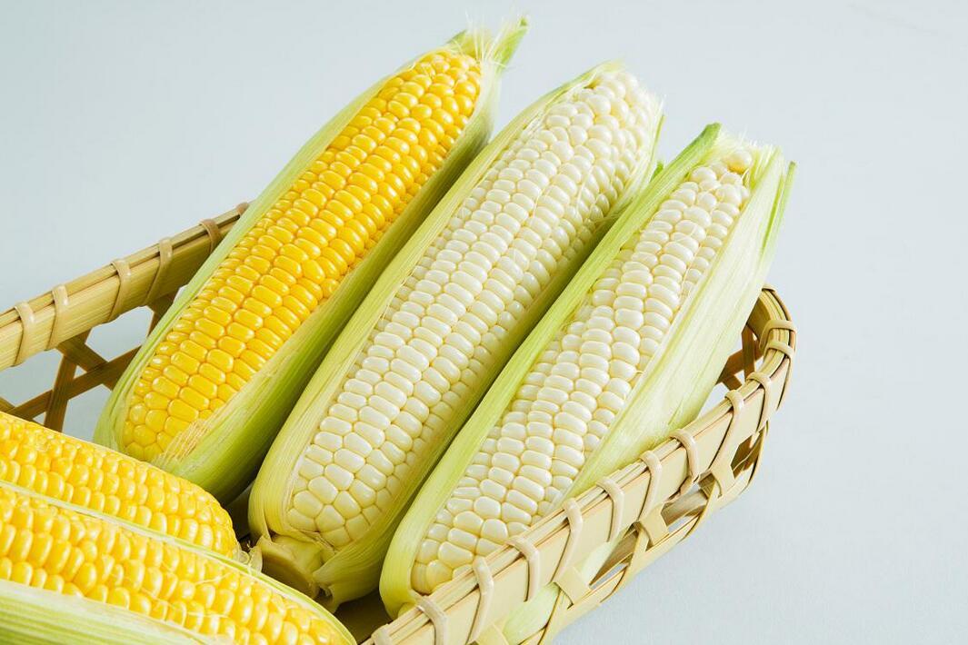 十个月的宝宝可以吃玉米吗 宝宝吃玉米要注意什么