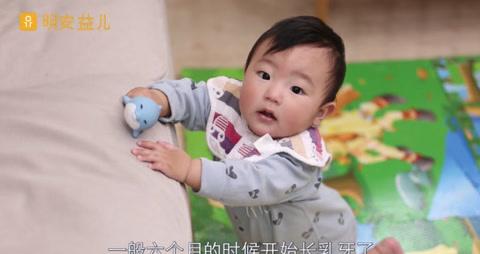 协和专家教你让孩子不长蛀牙