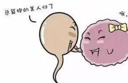 备孕半年没怀孕?那你看看是不是忽略这5件事?