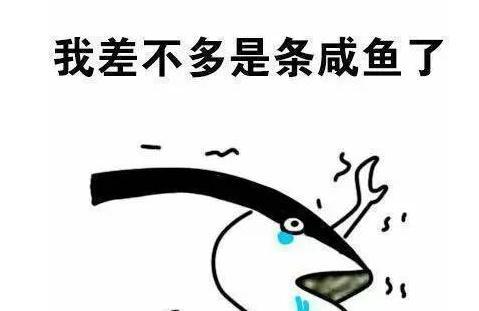 我差不多是条咸鱼了梗是什么意思