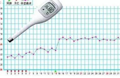 不排卵女性没有“产权”你知道吗？