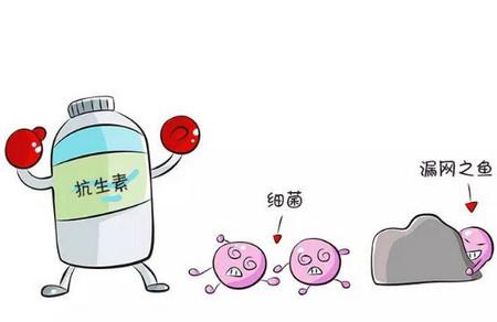 宝宝感冒发烧了，要不要用抗生素？怎么用？