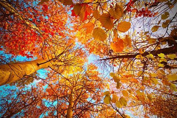 2017年秋天是什么时候