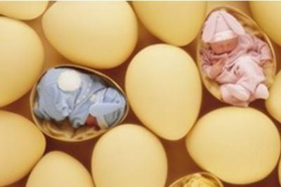 唐筛结果看男女怎么看 唐筛看男女到底准不准