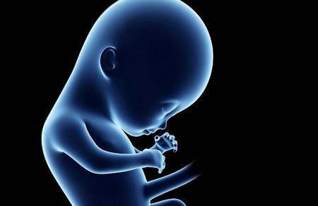 胎儿能“看”到孕妈做什么？感官发育是这样的