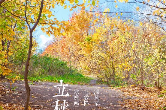 2017年立秋是几点几分