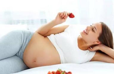 备孕期间哪些食物不能吃？