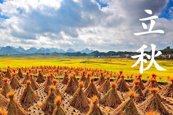 2017年立秋是早秋还是晚秋