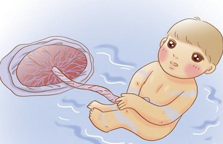 胎盘的各种奇葩处理方法，你中了吗？