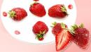 “水果皇后”草莓
