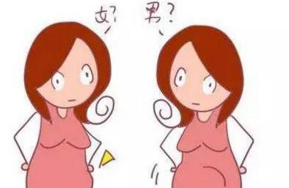 “孕期计算器”，告诉你怎样计算宝宝是男是女！