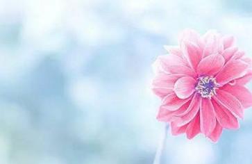 備孕懷孕時間一覽表，什么時間該干啥？