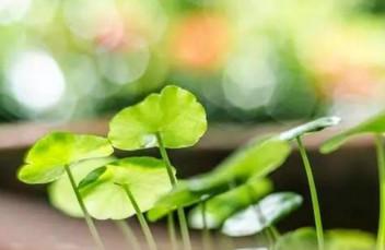 月經周期中不規則出血，一定是排卵期出血嗎？