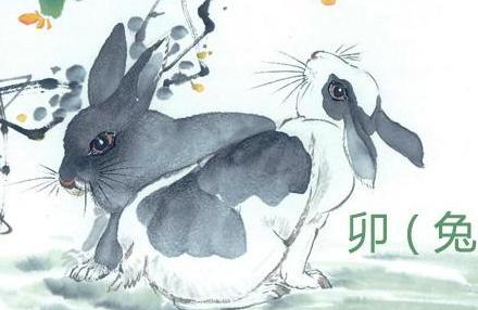 2018年属兔人的全年运势如何