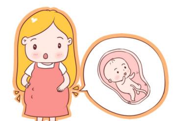 胎宝宝安危早知道，就要学会正确测胎动的方法