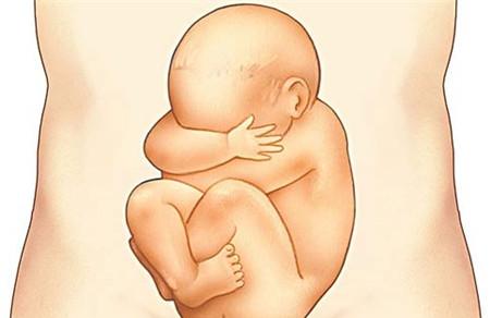 胎儿头位胎动在什么位置 胎动位置要知晓