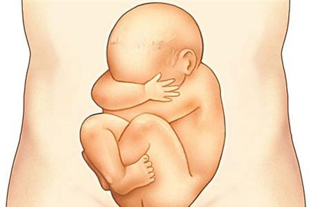 胎儿头位胎动在什么位置 胎动位置要知晓