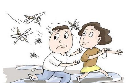 药房主任支招：哪种防蚊“神器”最靠谱？