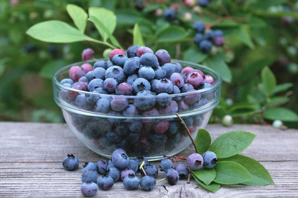 十个月的宝宝可以吃蓝莓吗 宝宝怎么吃蓝莓