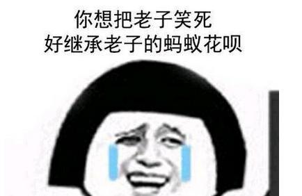 继承蚂蚁花呗是什么梗