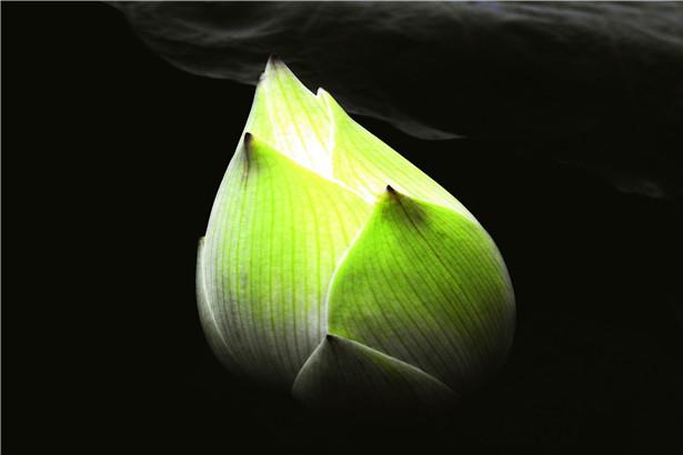 打胎会有报应吗 千万别堕胎