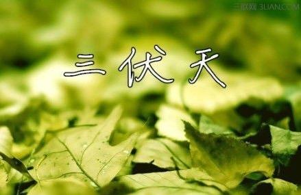 2017年三伏天什么时候结束 详细介绍三伏天的具体时间